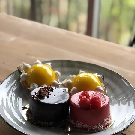 Vallee Heureuse Sorède