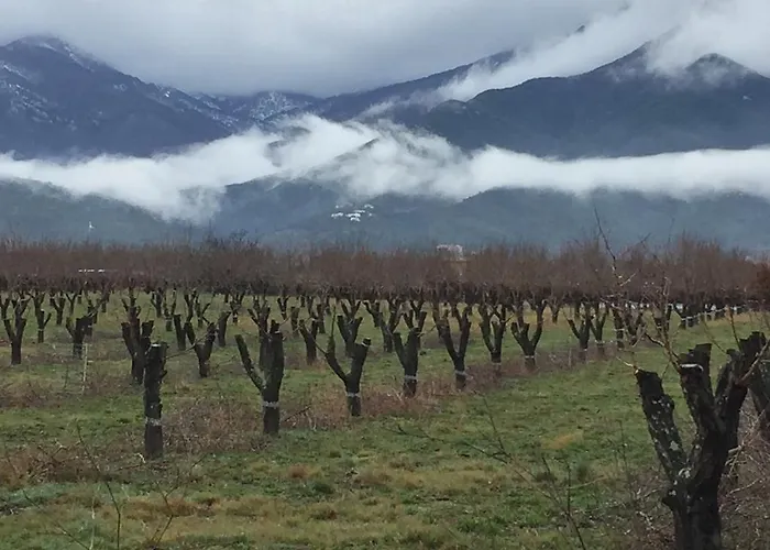 Vallee Heureuse * Sorède